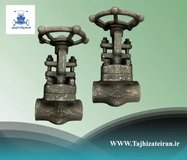 globe valve class 800 forged